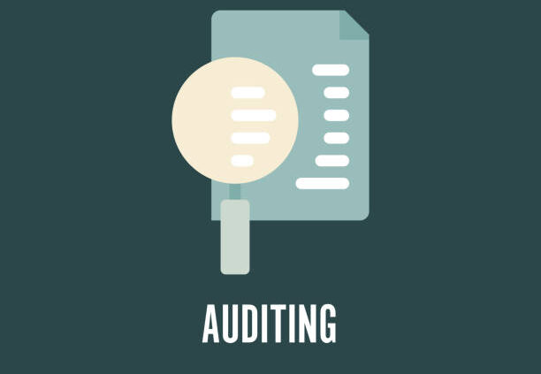Auditing Flat Icon